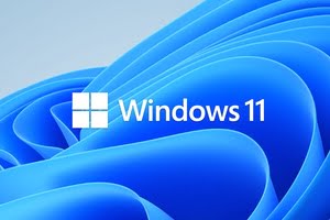 הורד את Windows 11 במהירות: דרך אתר Microsoft (שיטה 1)